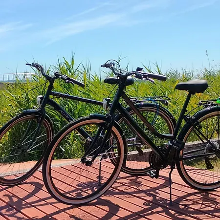 Dutch House Near Jamno And * Łazy